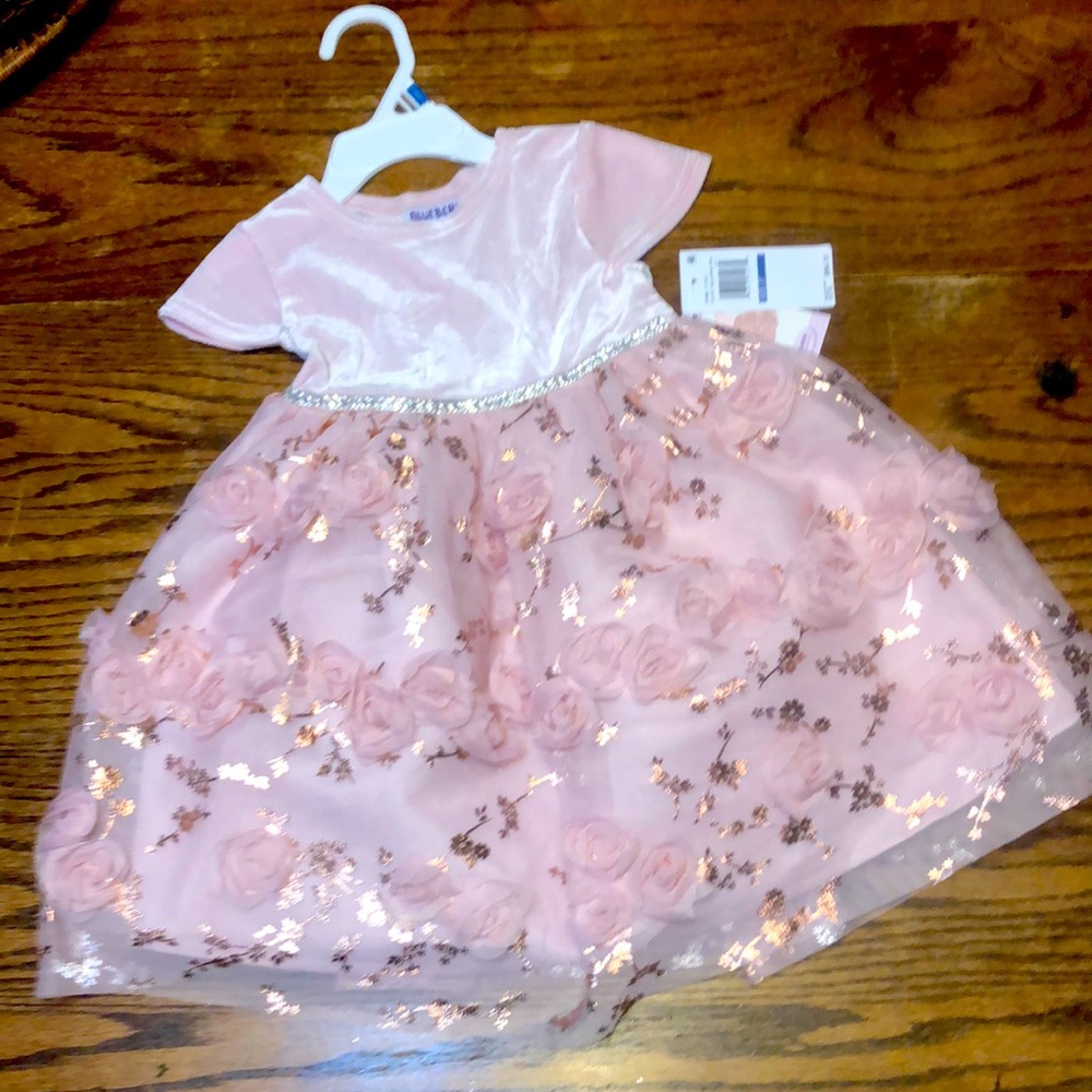 NWT Blueberi Boulevard Ballerina pink dress